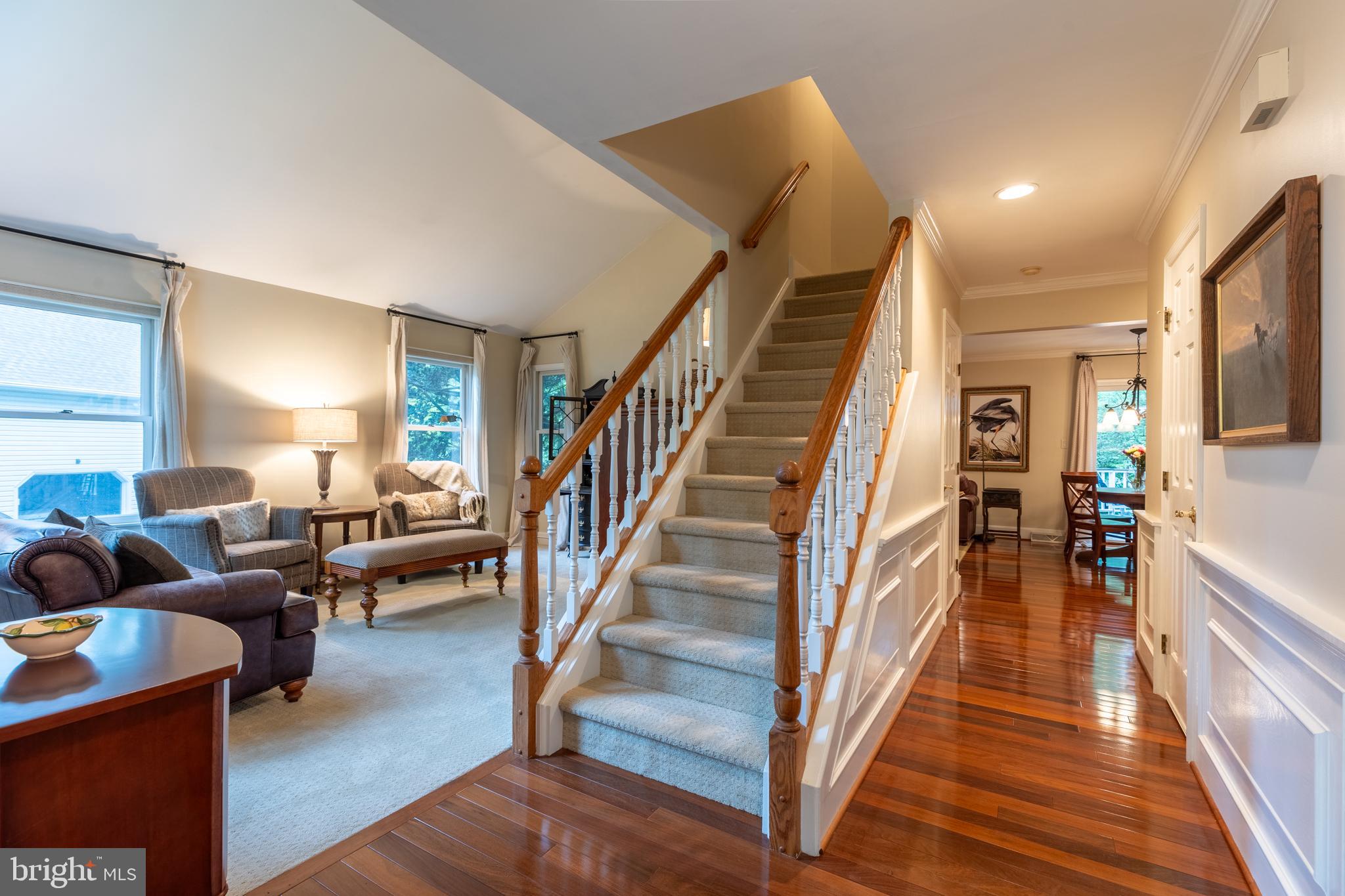 704 SPRINGCREEK COURT