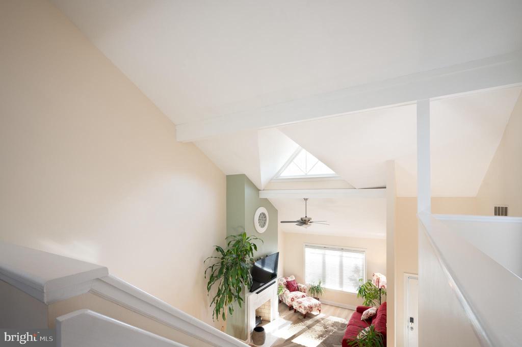 522 BEECH TREE LANE