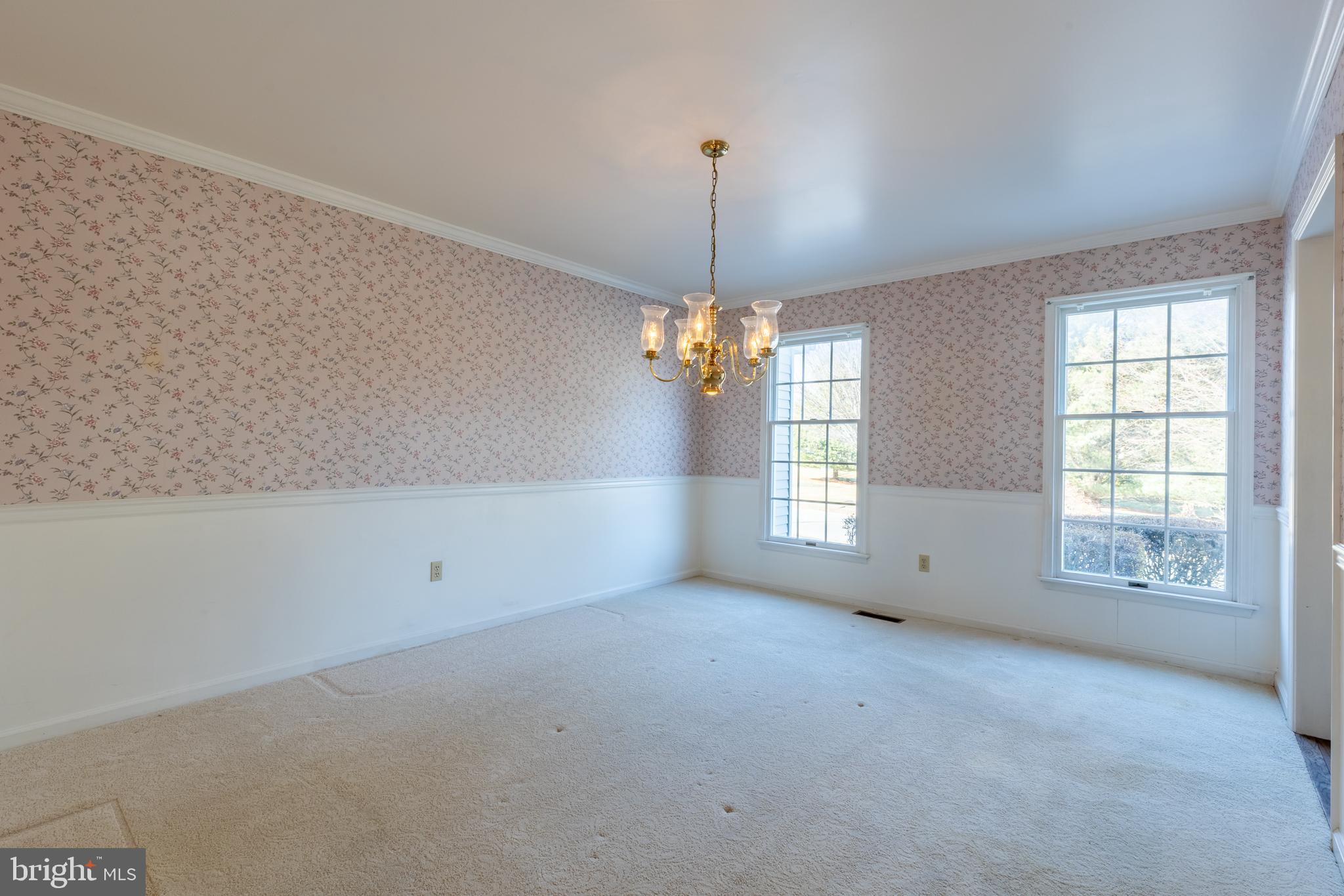 141 BELMONT DRIVE