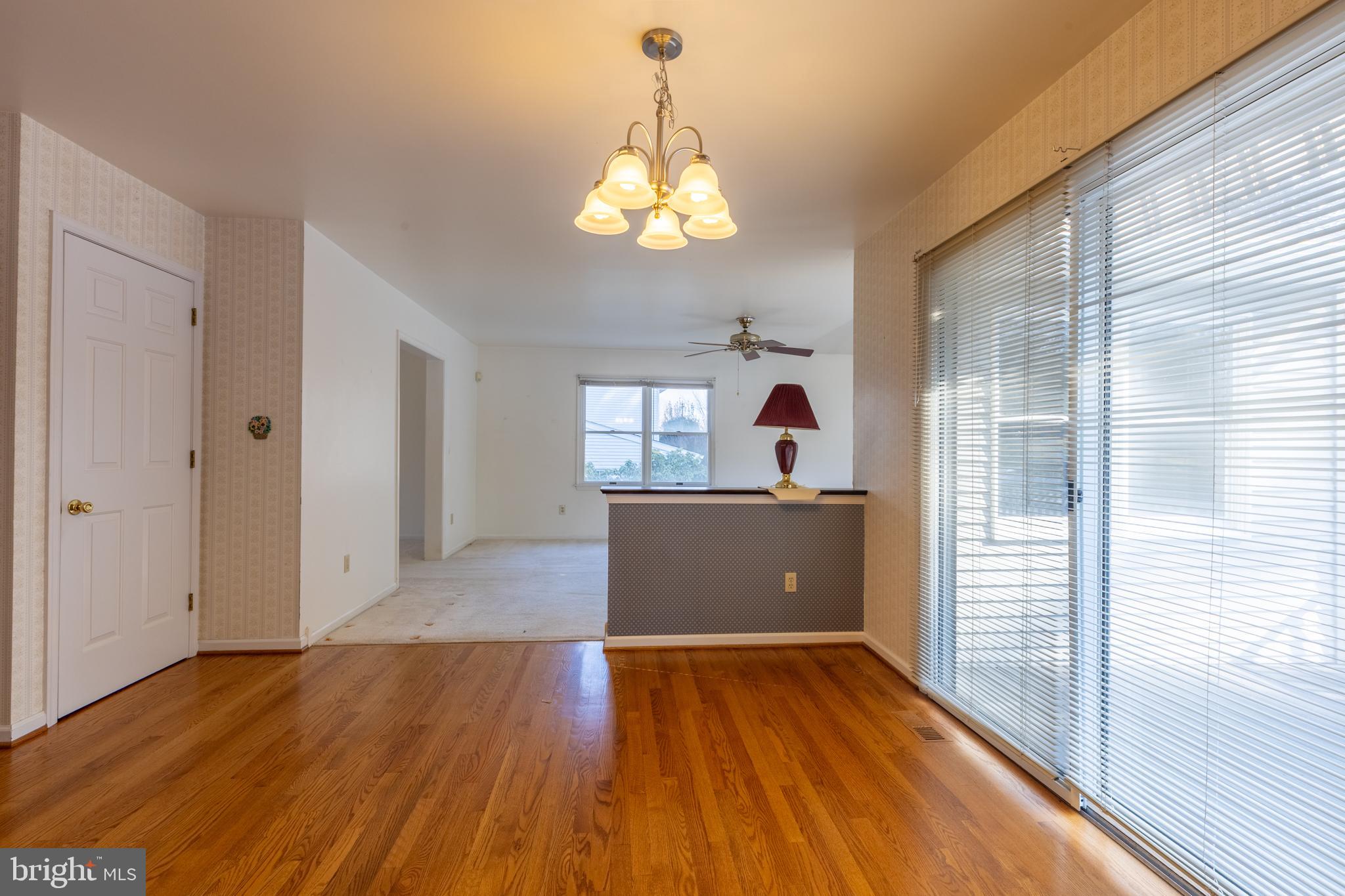 141 BELMONT DRIVE