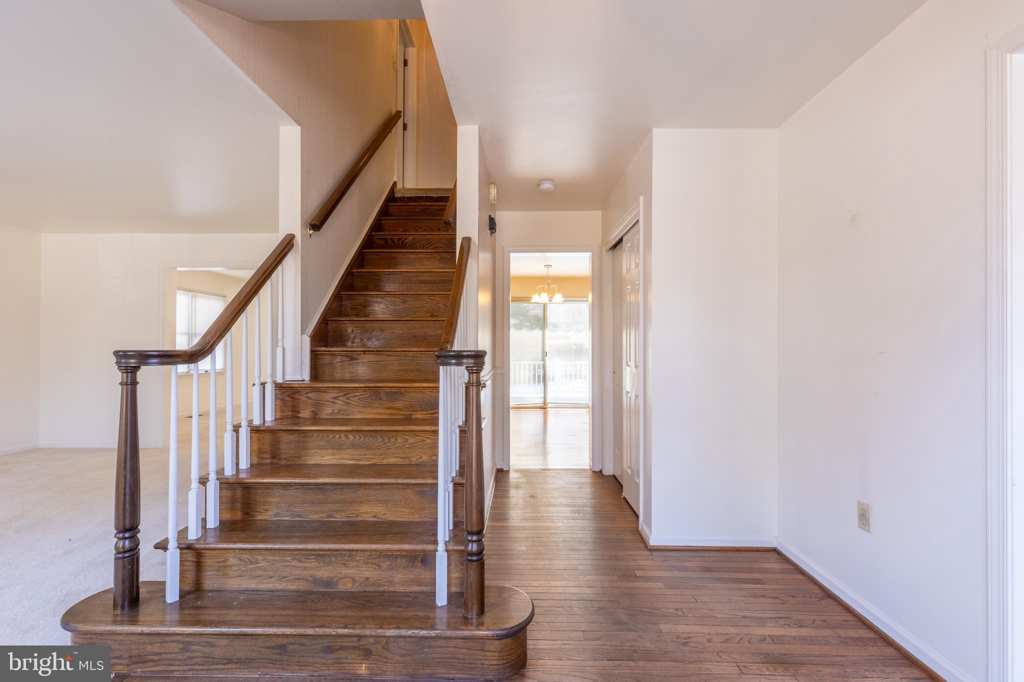 141 BELMONT DRIVE