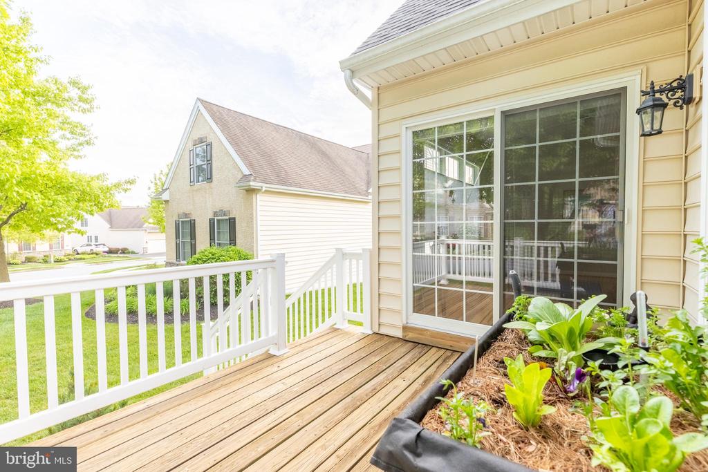 120 CORNWALL ROAD 115