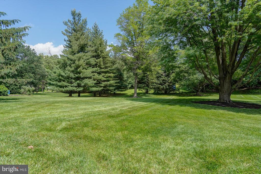 12 MEADOW WOODS LANE