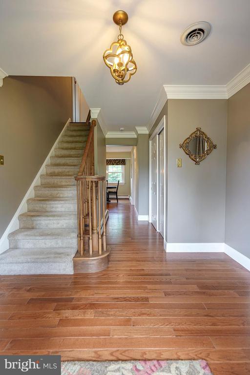 12 MEADOW WOODS LANE