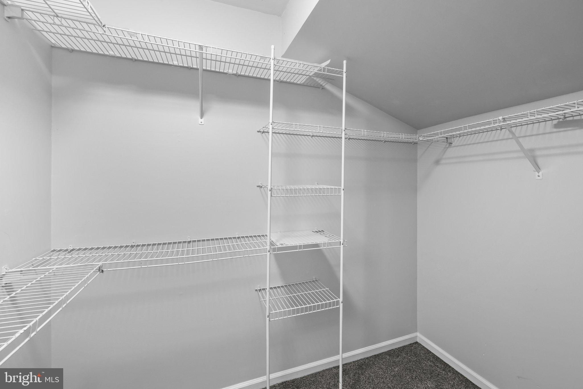 139 Carousel Cir