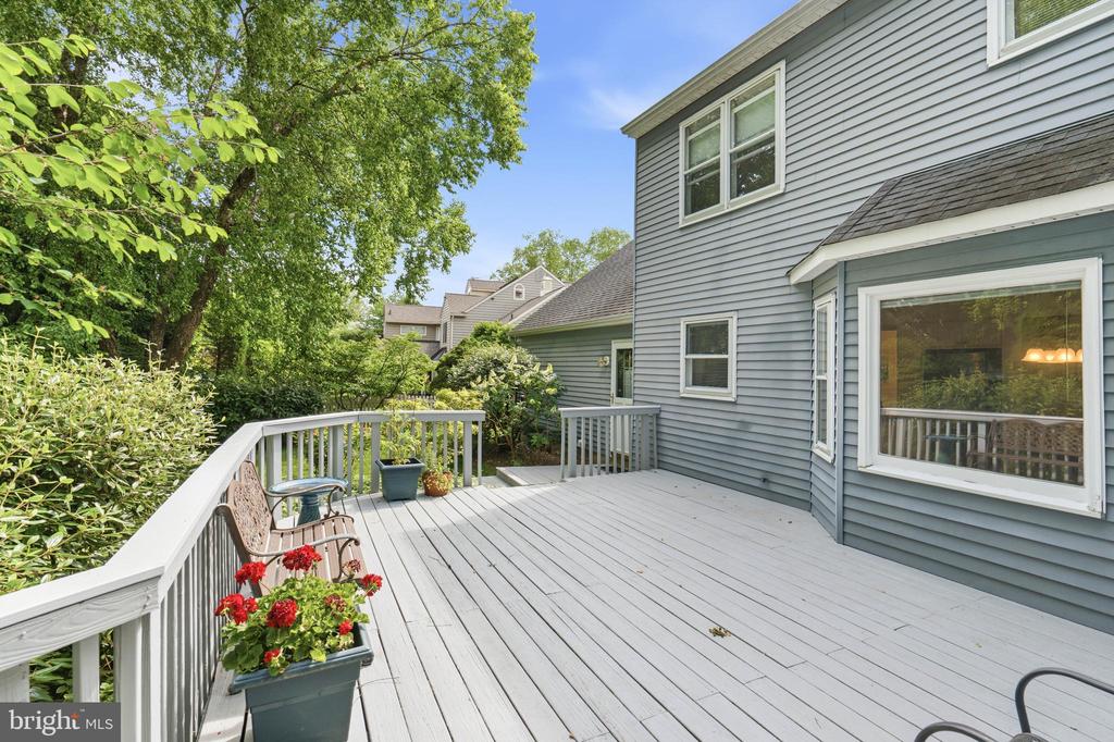 51 SNAPDRAGON DRIVE