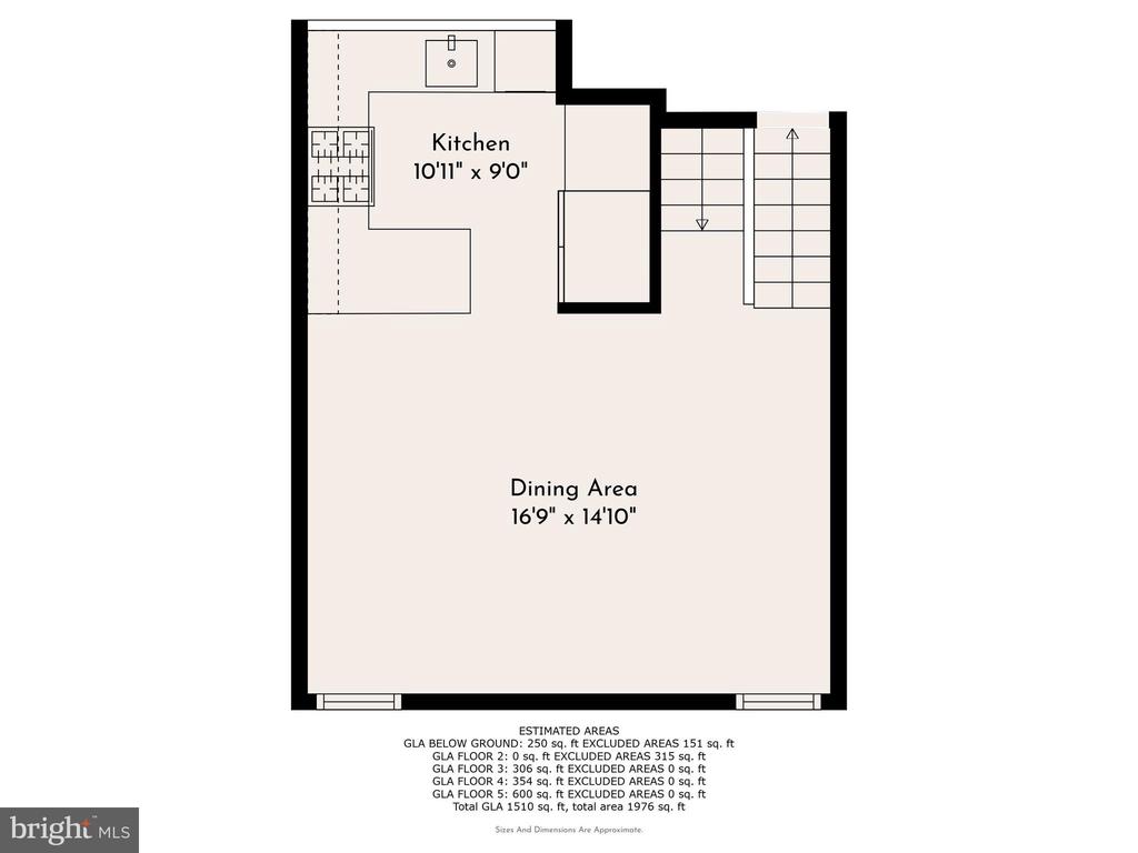 11 University Mews