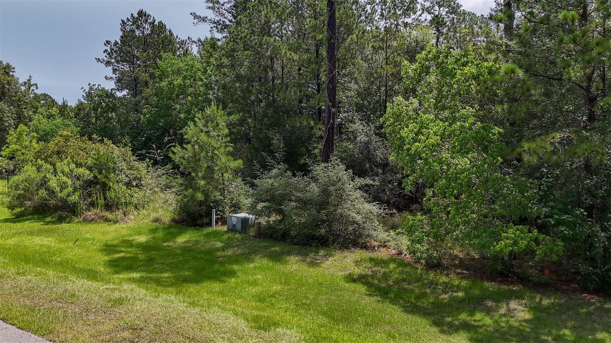 12033 Oak Forest Lane
