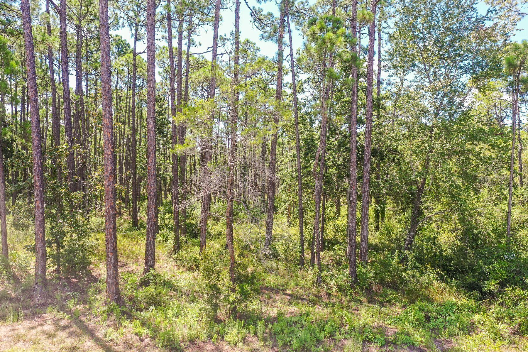 22113 Marsh Rabbit Run