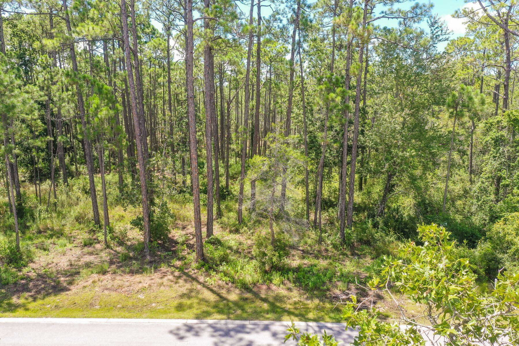 22113 Marsh Rabbit Run