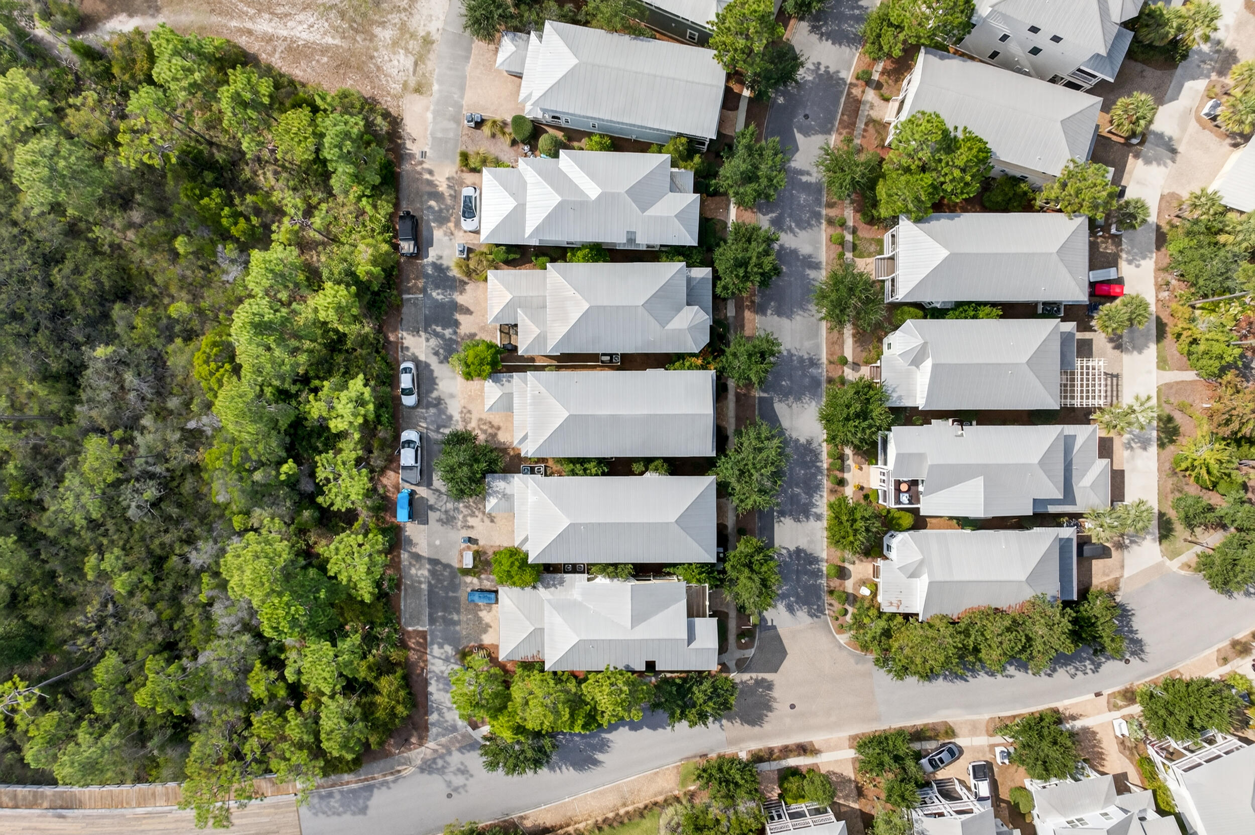 21 Cinnamon Fern Lane