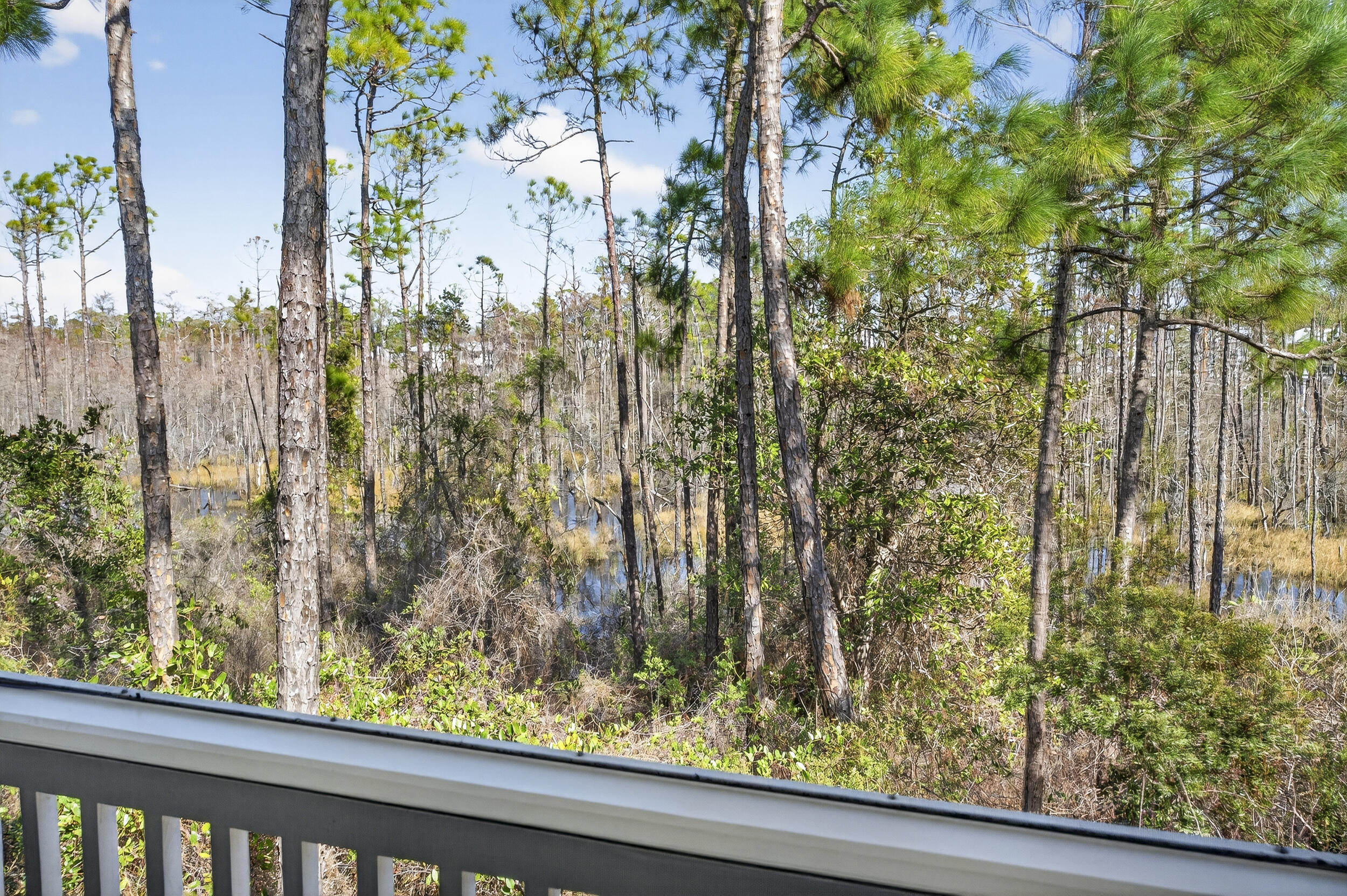 613 Flatwoods Forest Loop