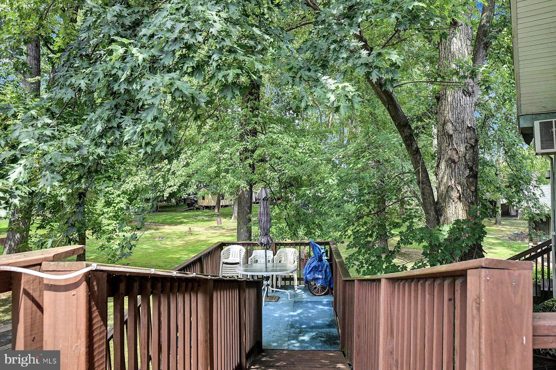 62 Beech Island