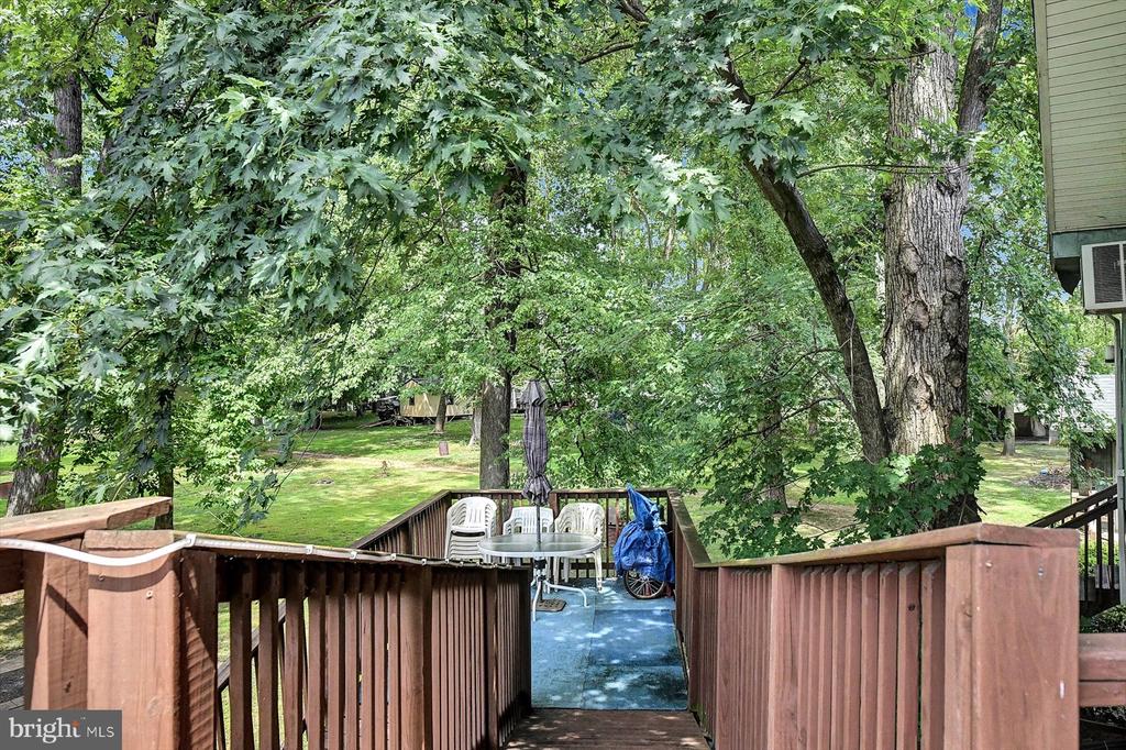 62 Beech Island