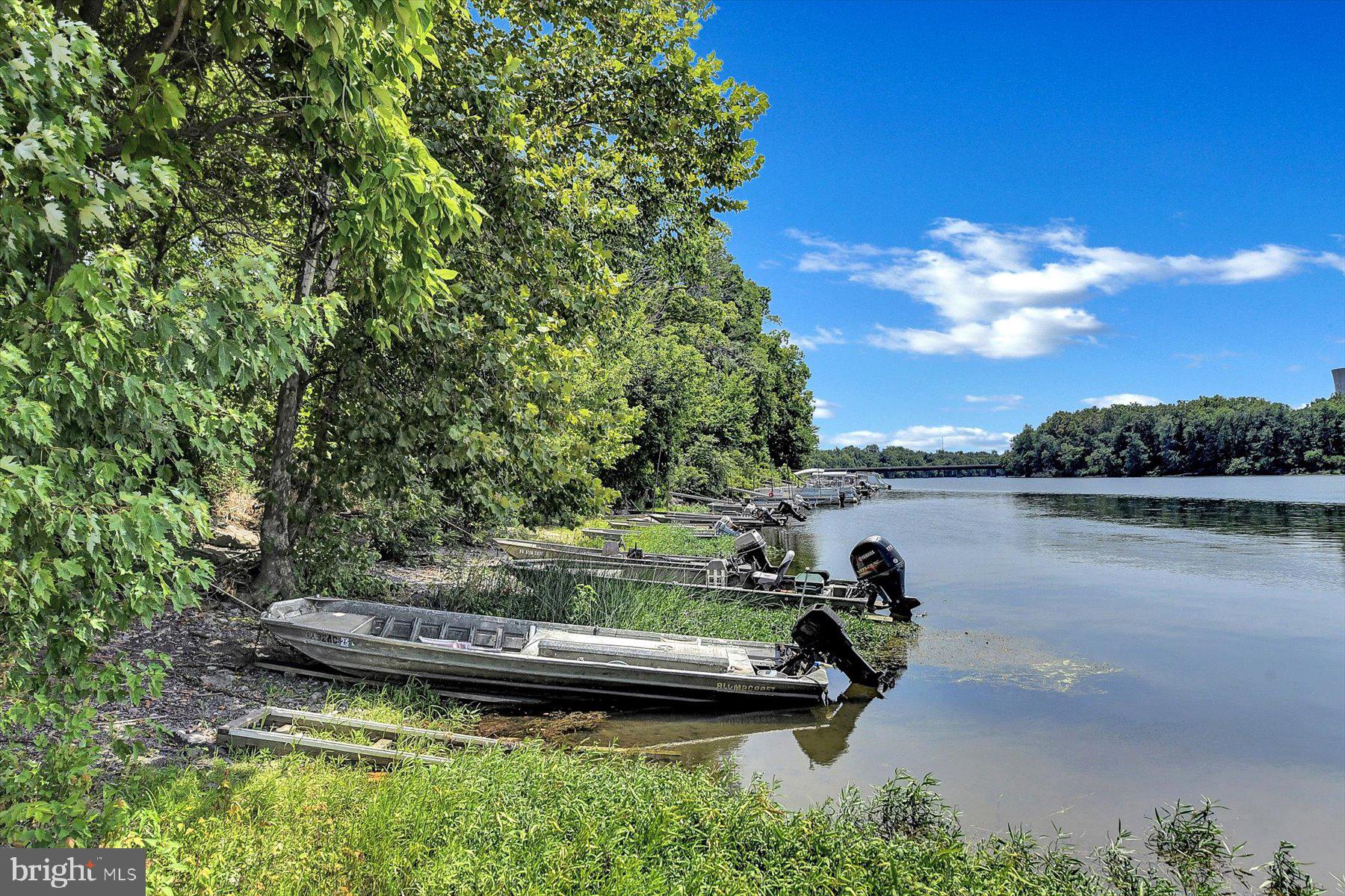 62 Beech Island