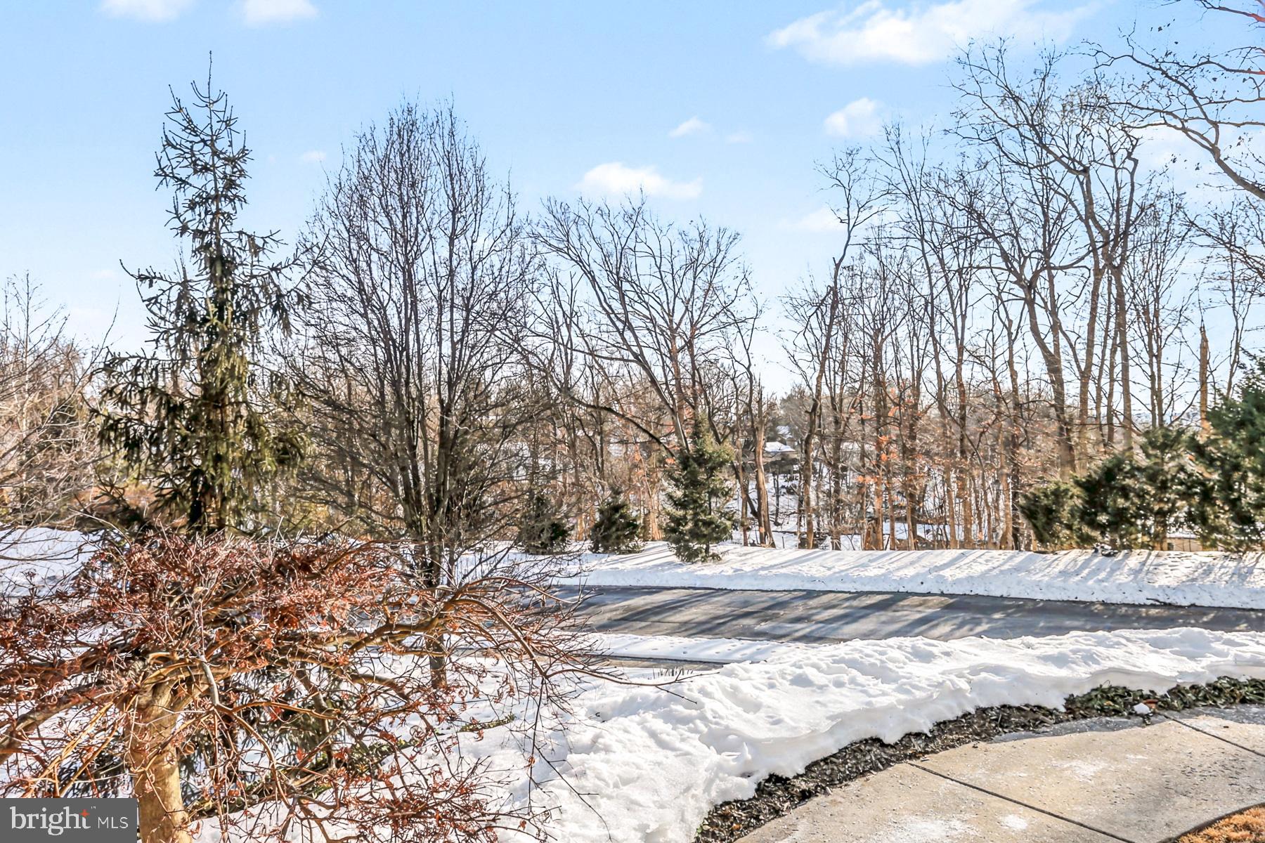 4528 LAURELWOOD DRIVE