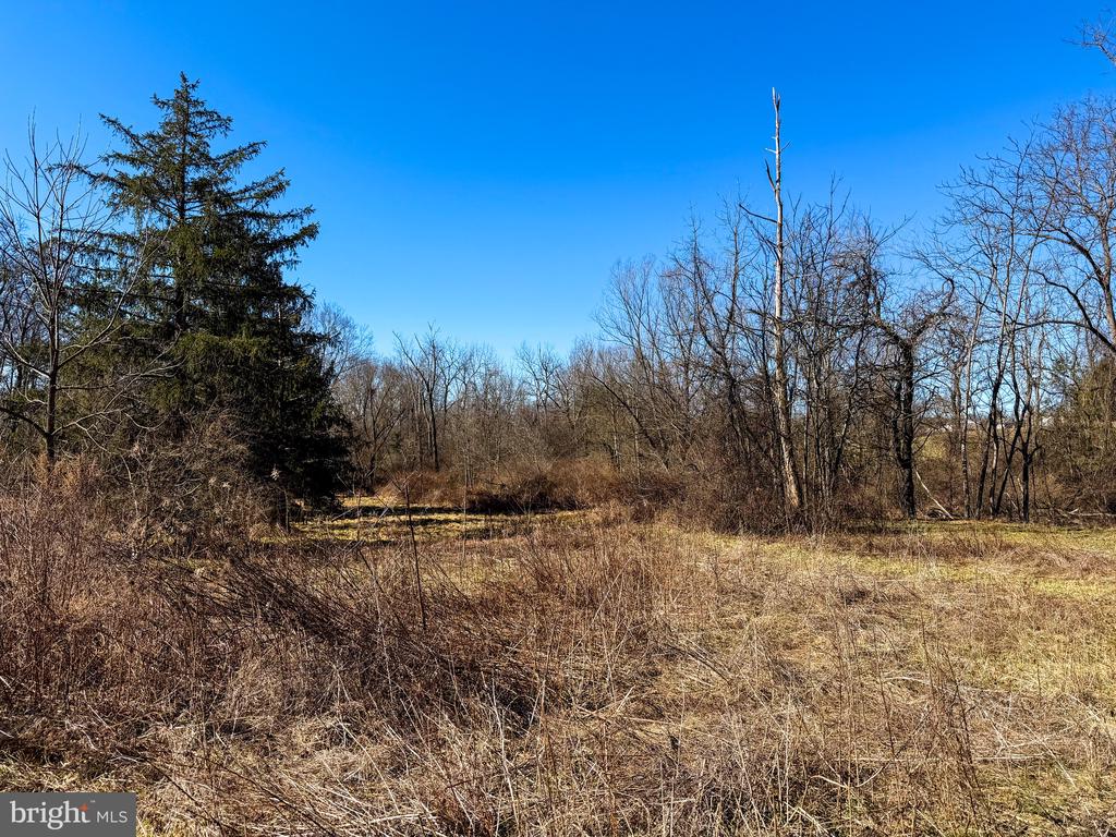 728 PIKETOWN ROAD