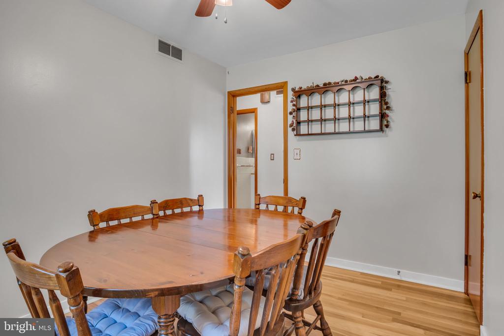 12 THEODORE AVENUE