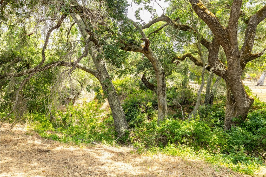 12300 Santa Lucia Road