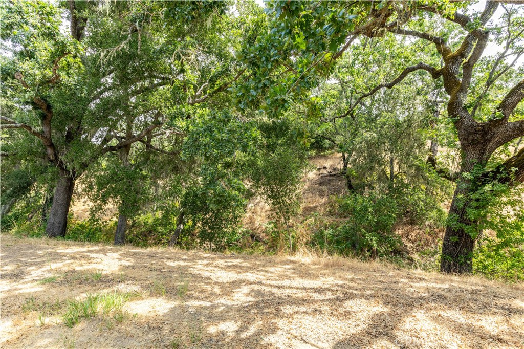 12300 Santa Lucia Road