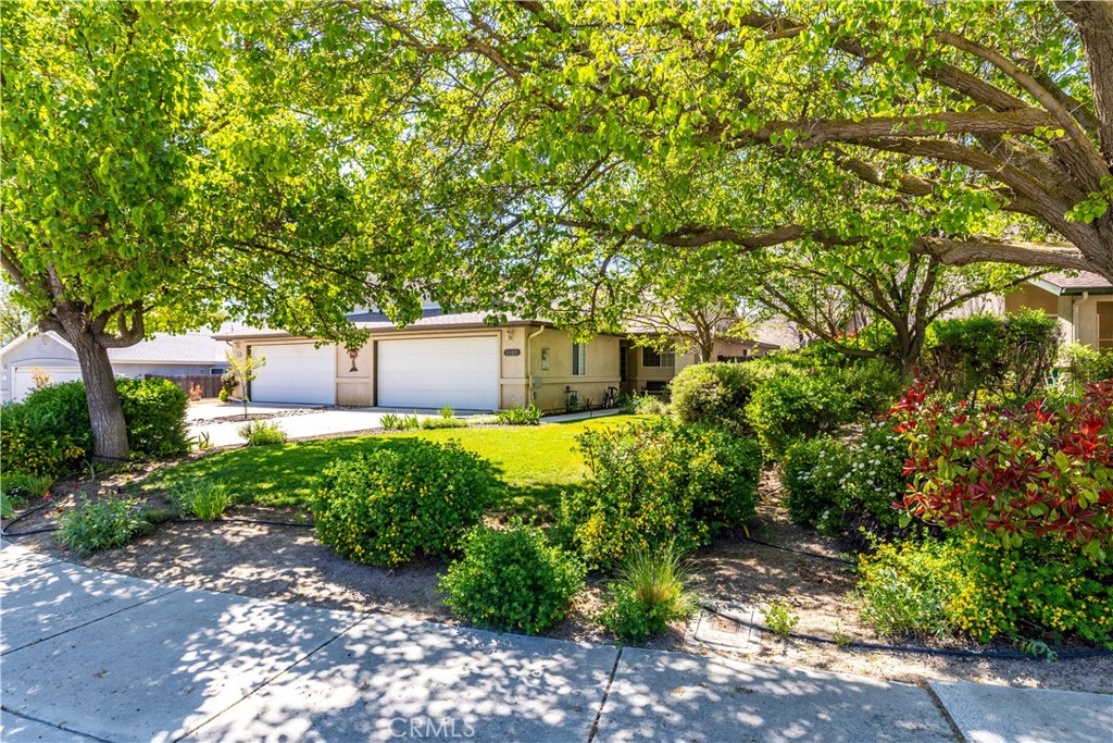1509 Trinity Ct.