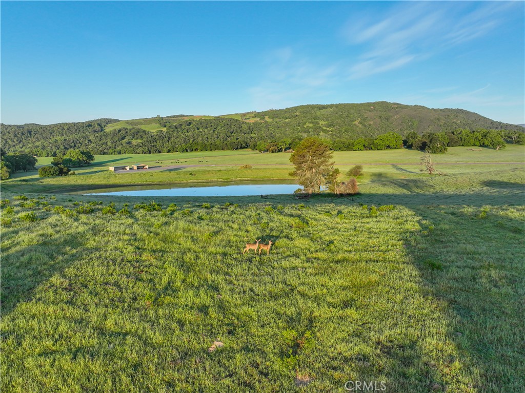 5161 Vineyard Drive