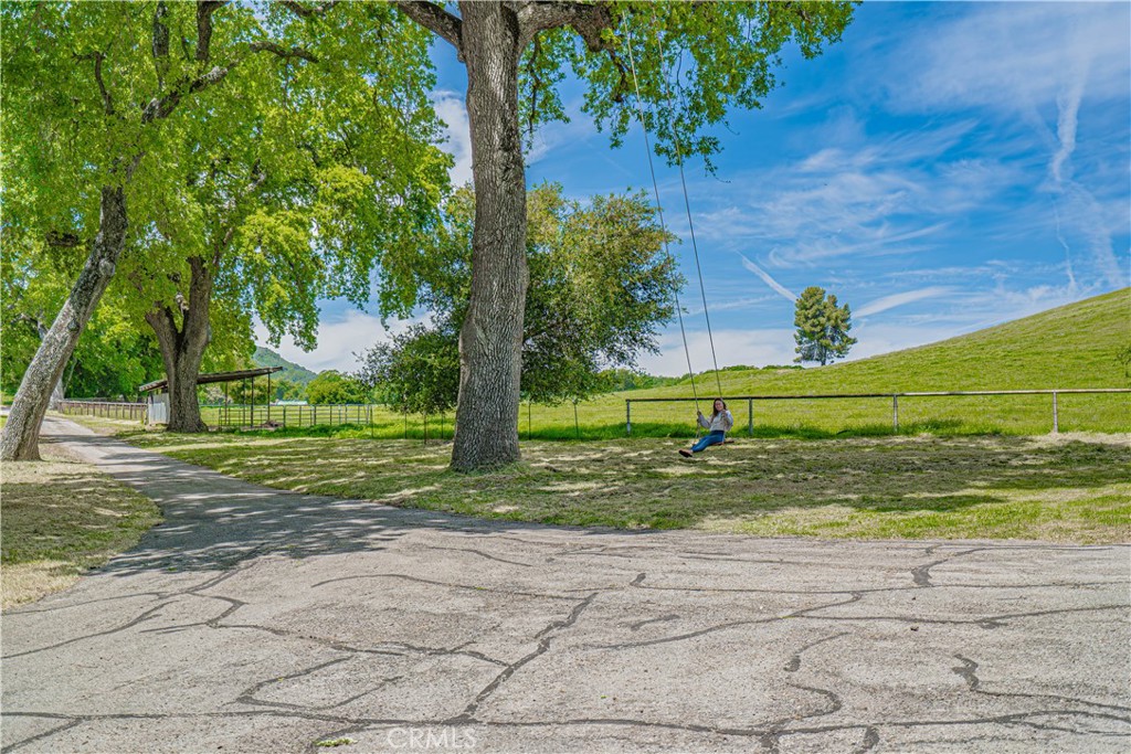 5161 Vineyard Drive