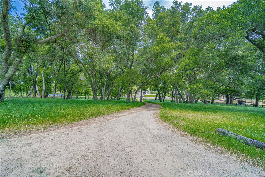 5161 Vineyard Drive
