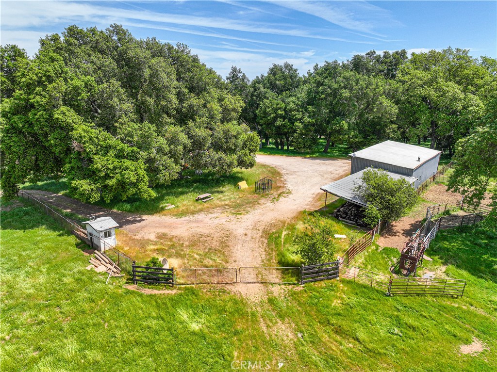 5161 Vineyard Drive