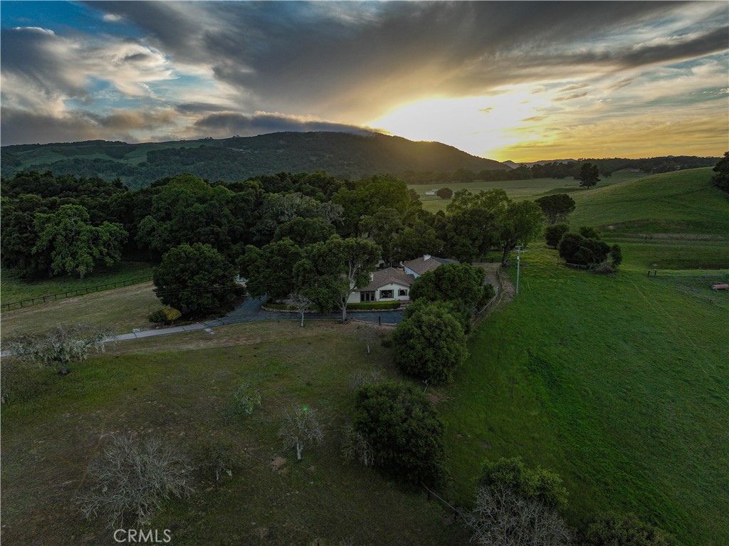 5161 Vineyard Drive