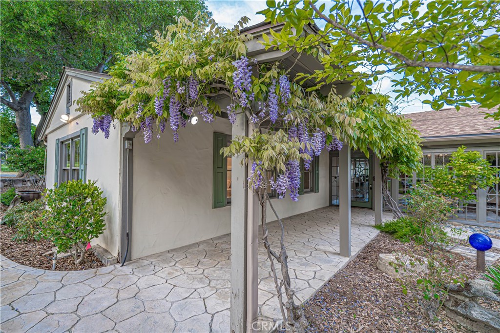 5161 Vineyard Drive