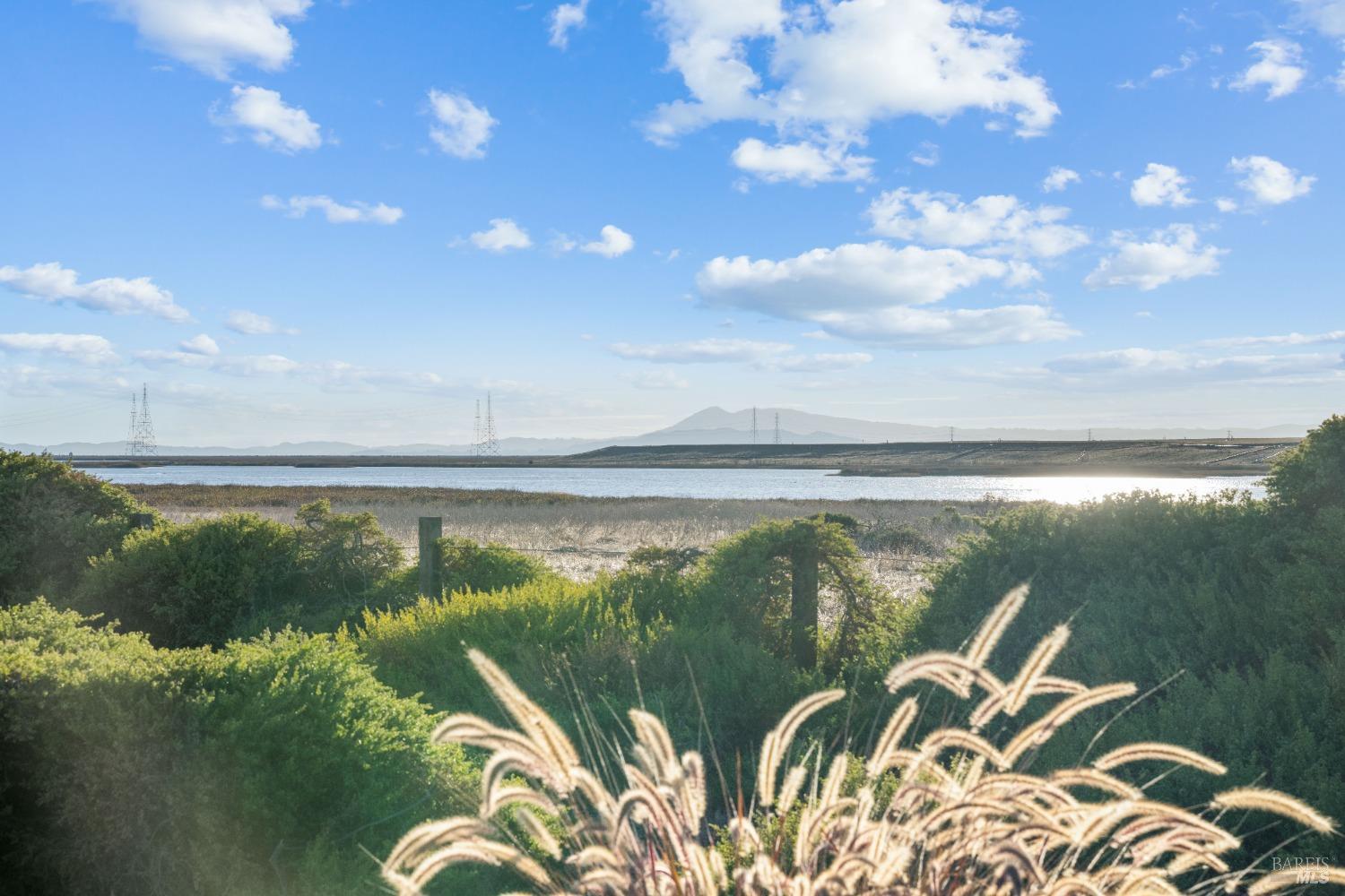 544 Wetlands Edge Rd