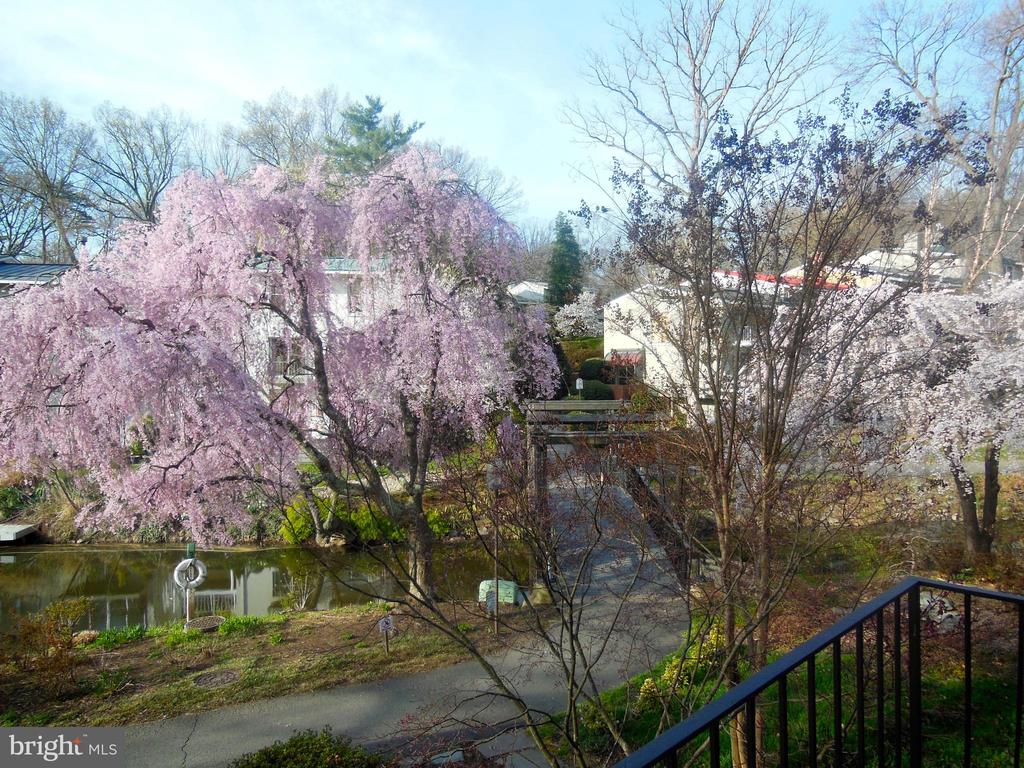 11453 Washington Plz W