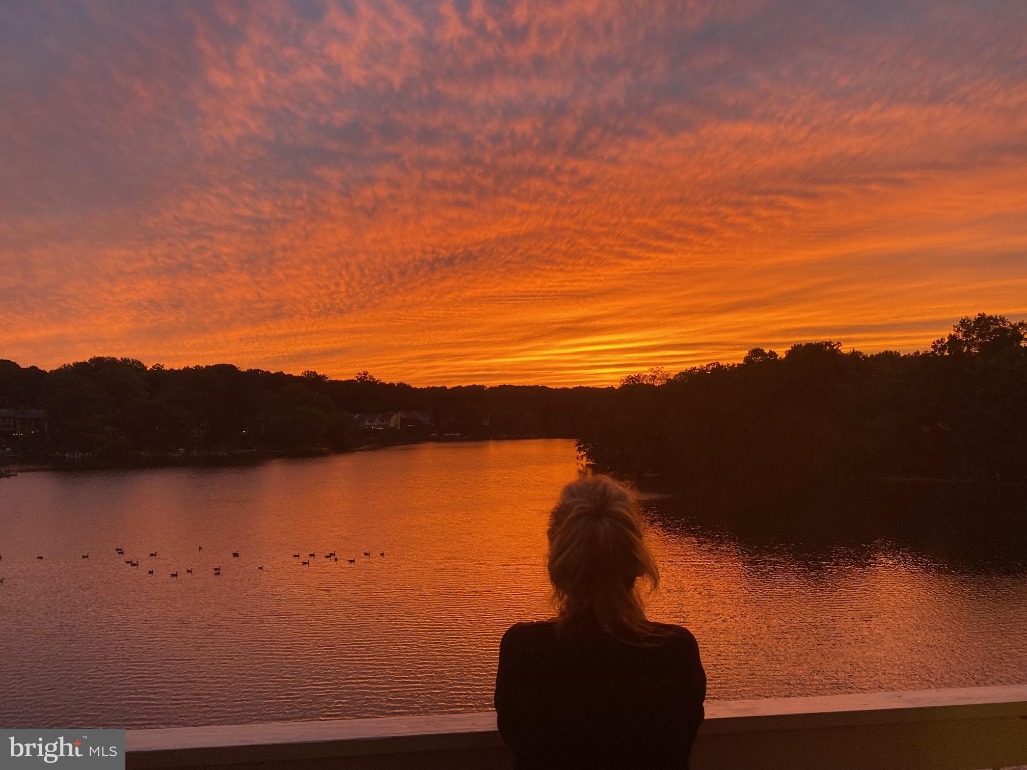 11182 Harbor Ct #11182