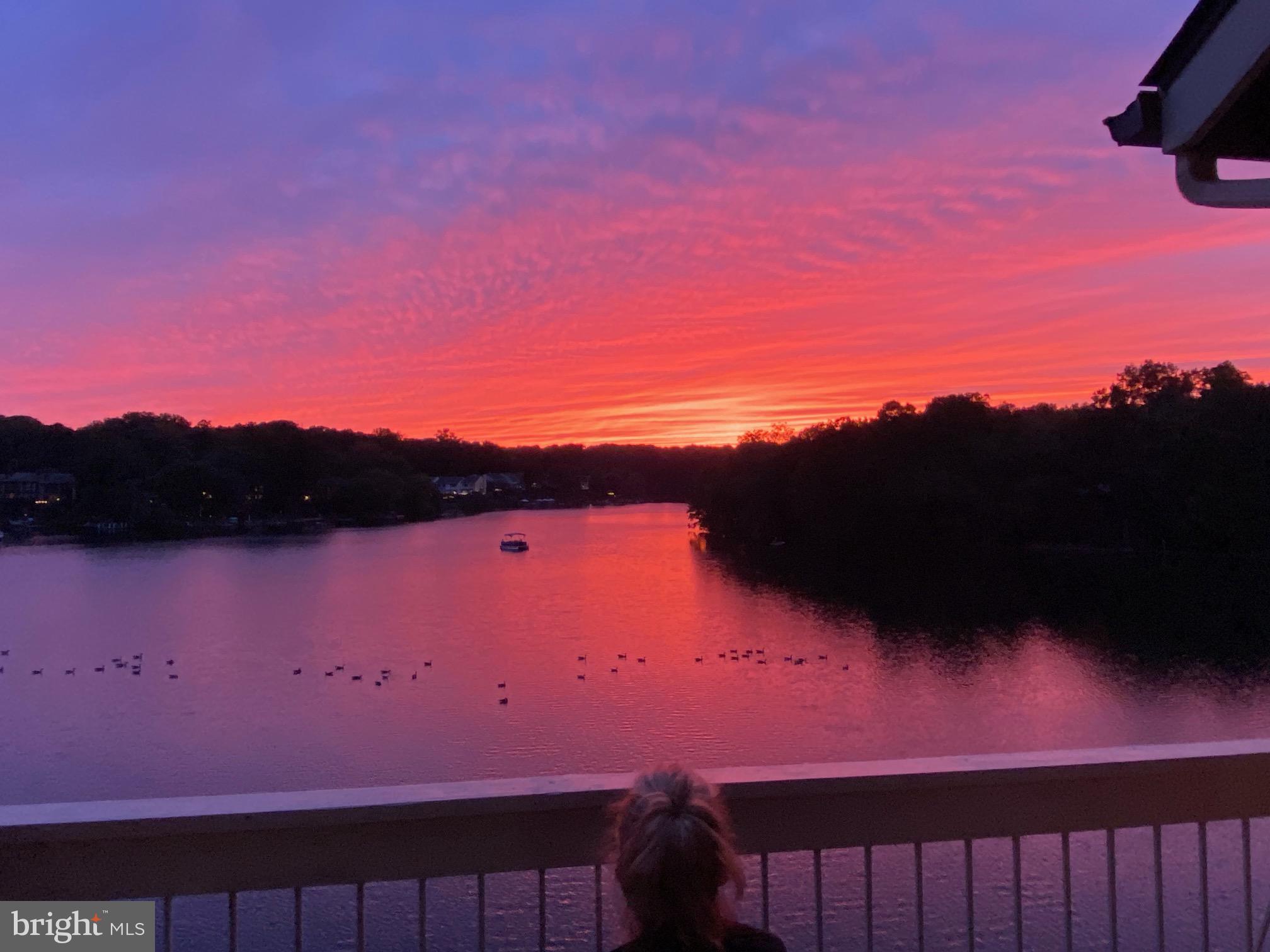 11182 Harbor Ct #11182