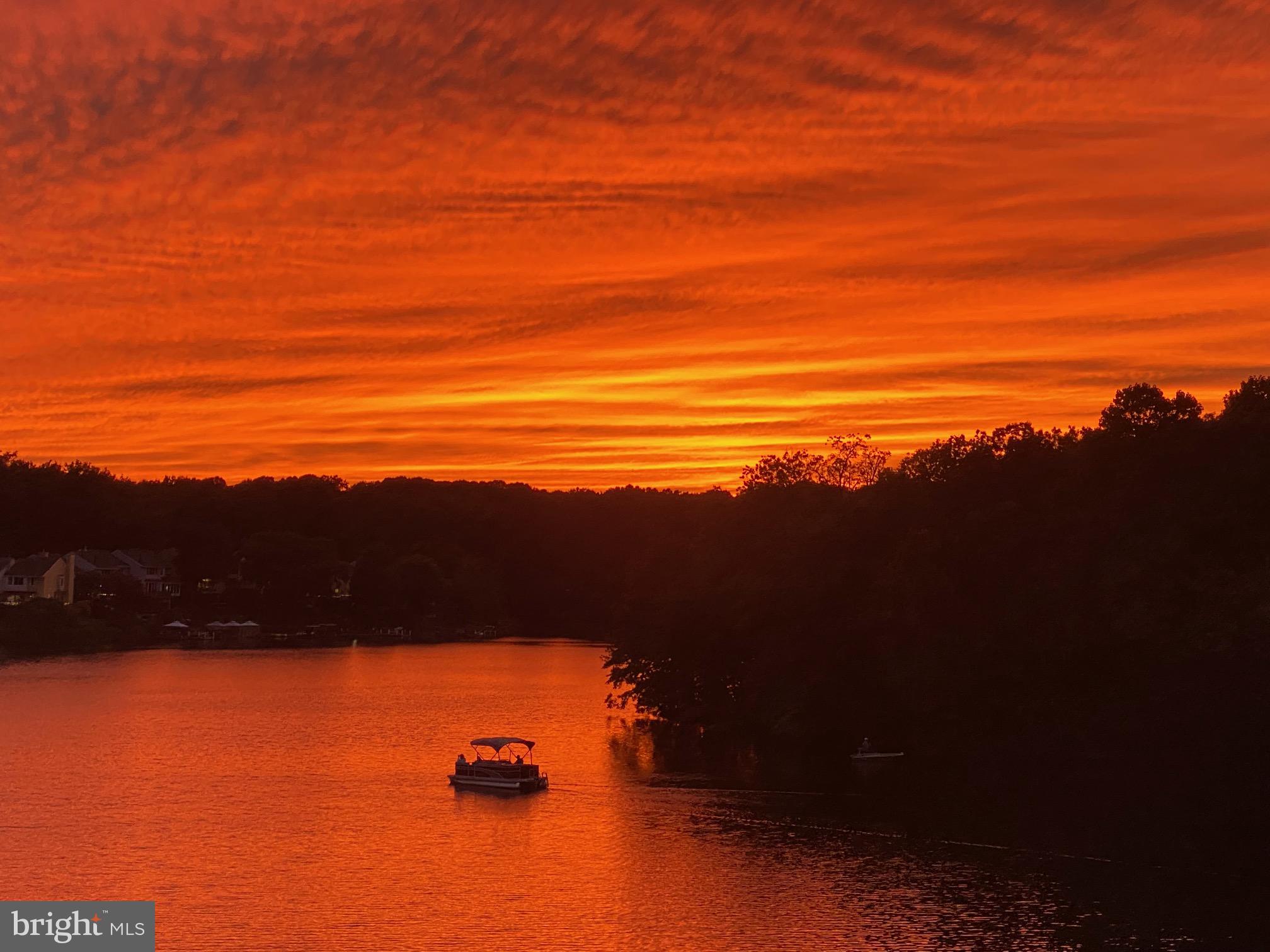 11182 Harbor Ct #11182