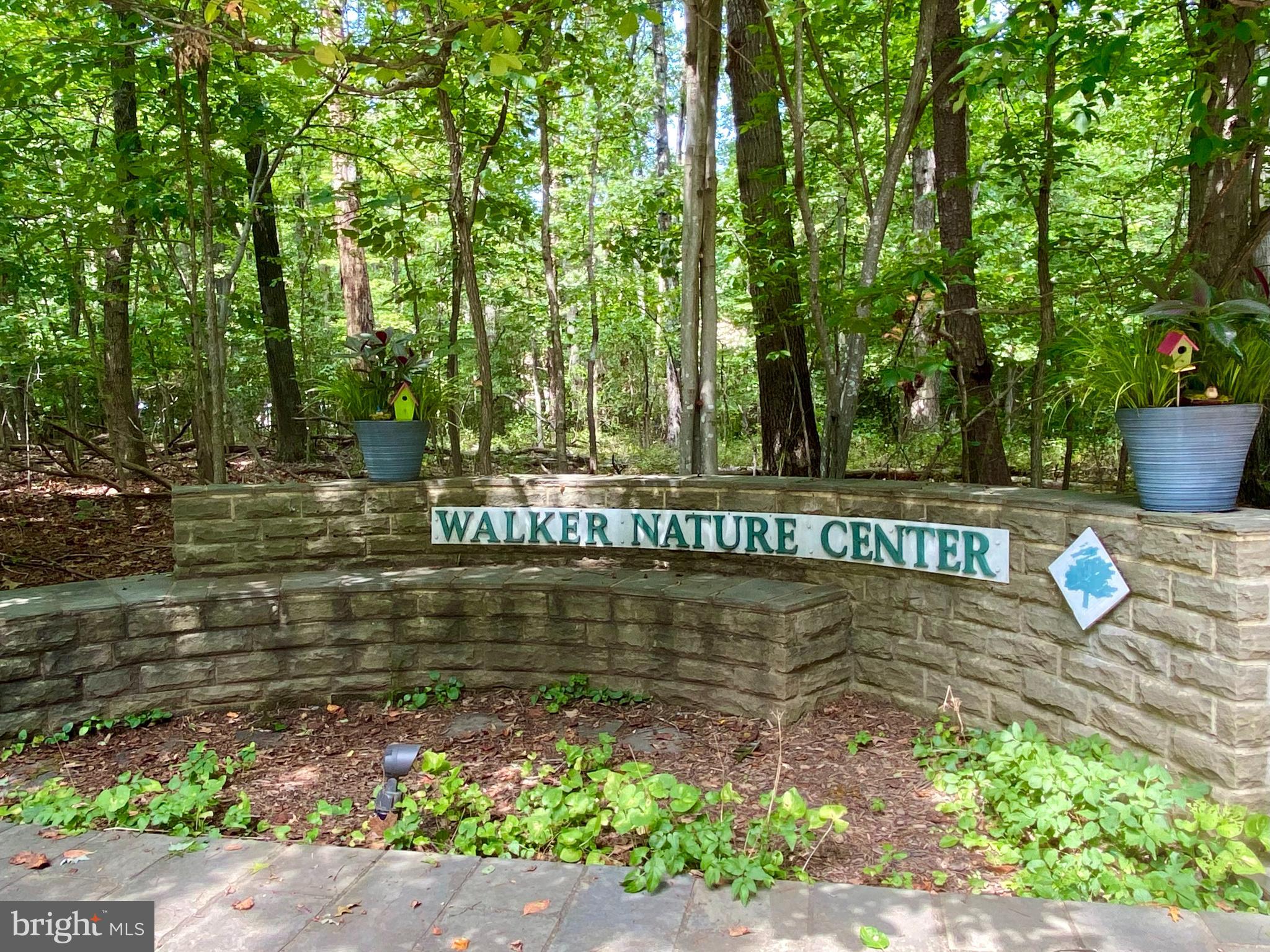 11560 WOODHOLLOW COURT