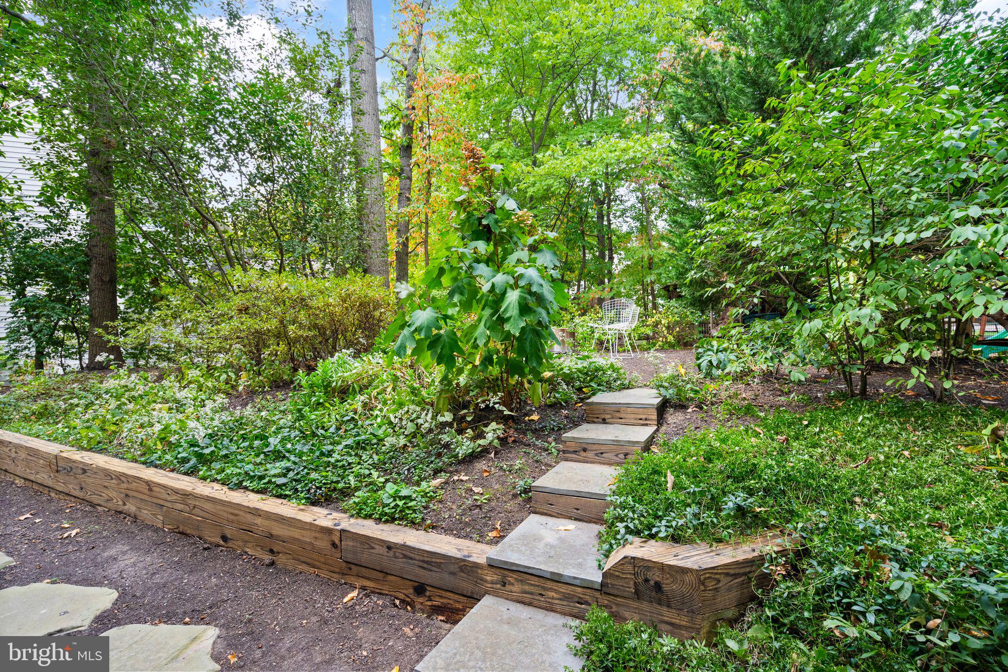 11426 Night Star Way