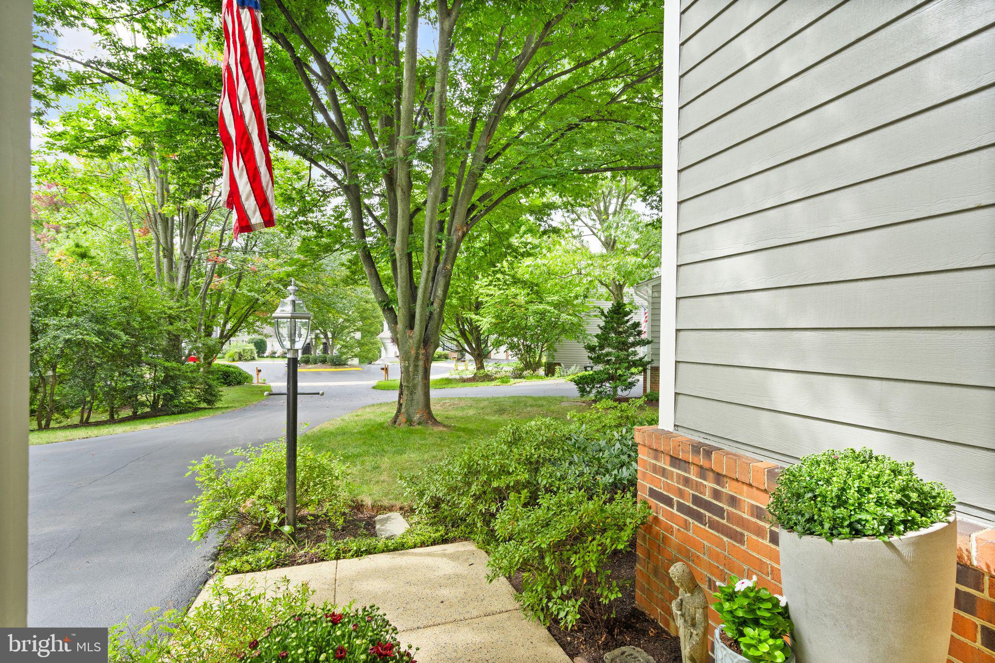 11426 Night Star Way