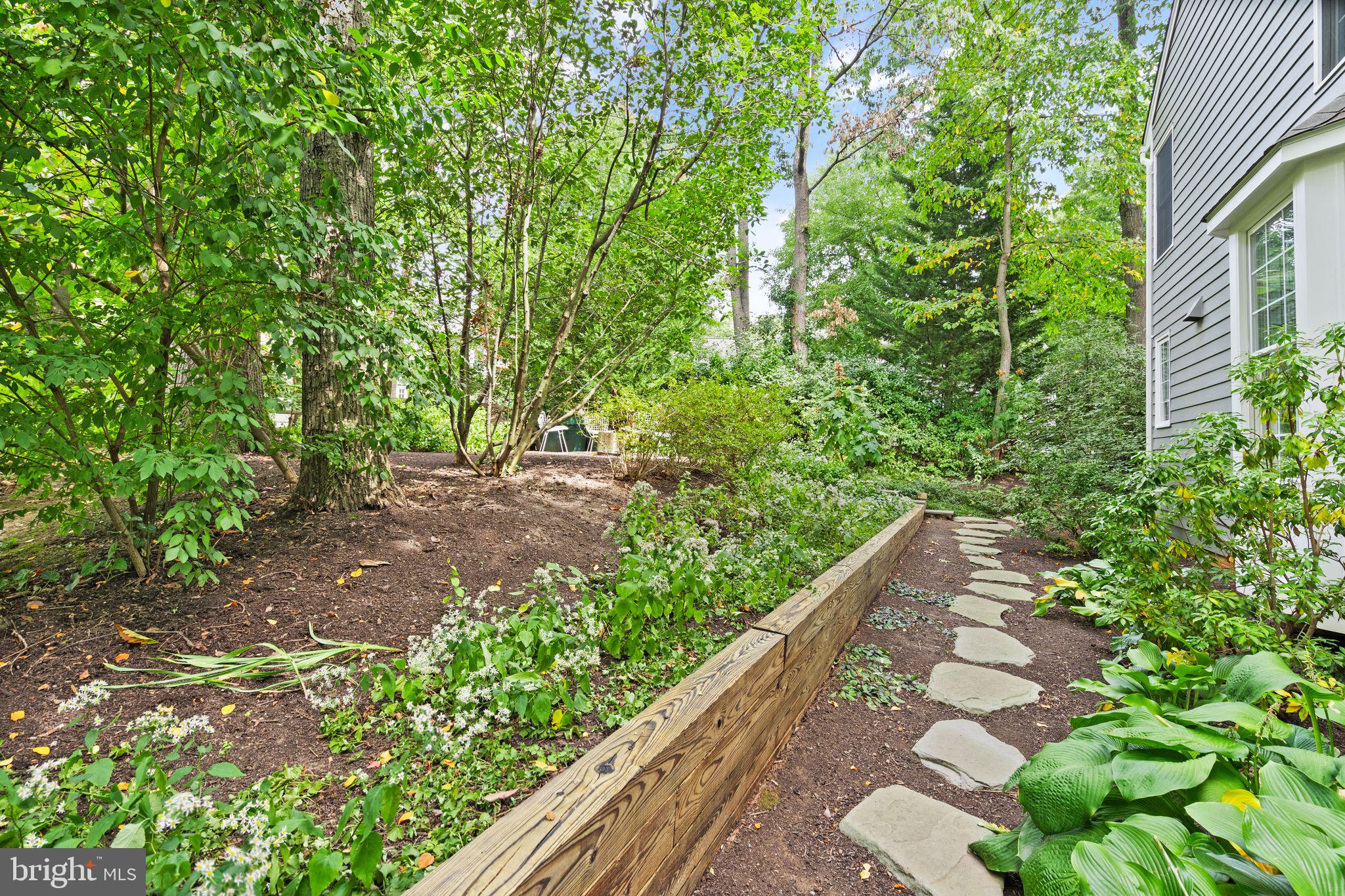 11426 Night Star Way