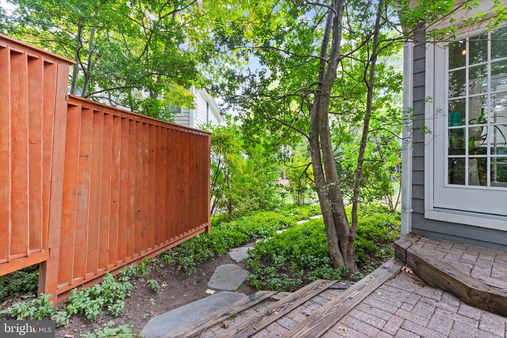 11426 Night Star Way