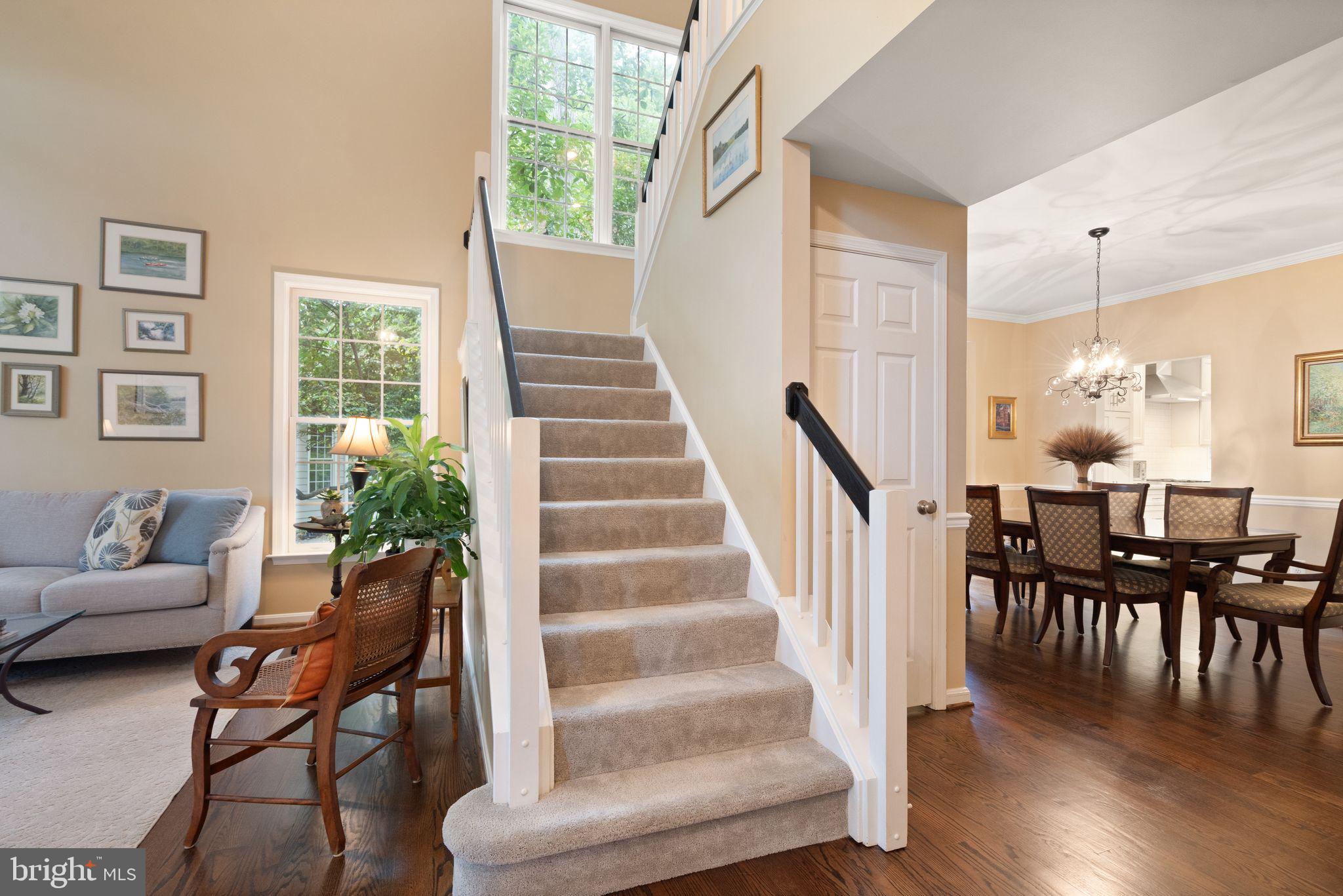 11426 Night Star Way