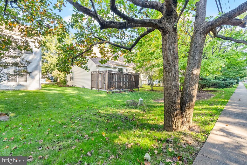 2459 Arctic Fox Way