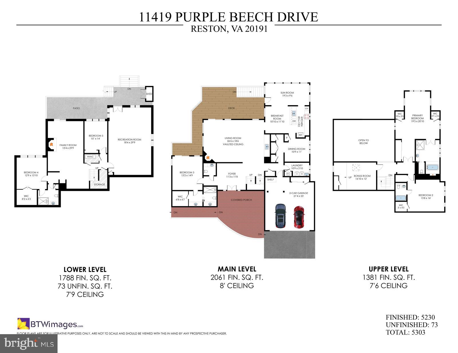 11419 Purple Beech Dr