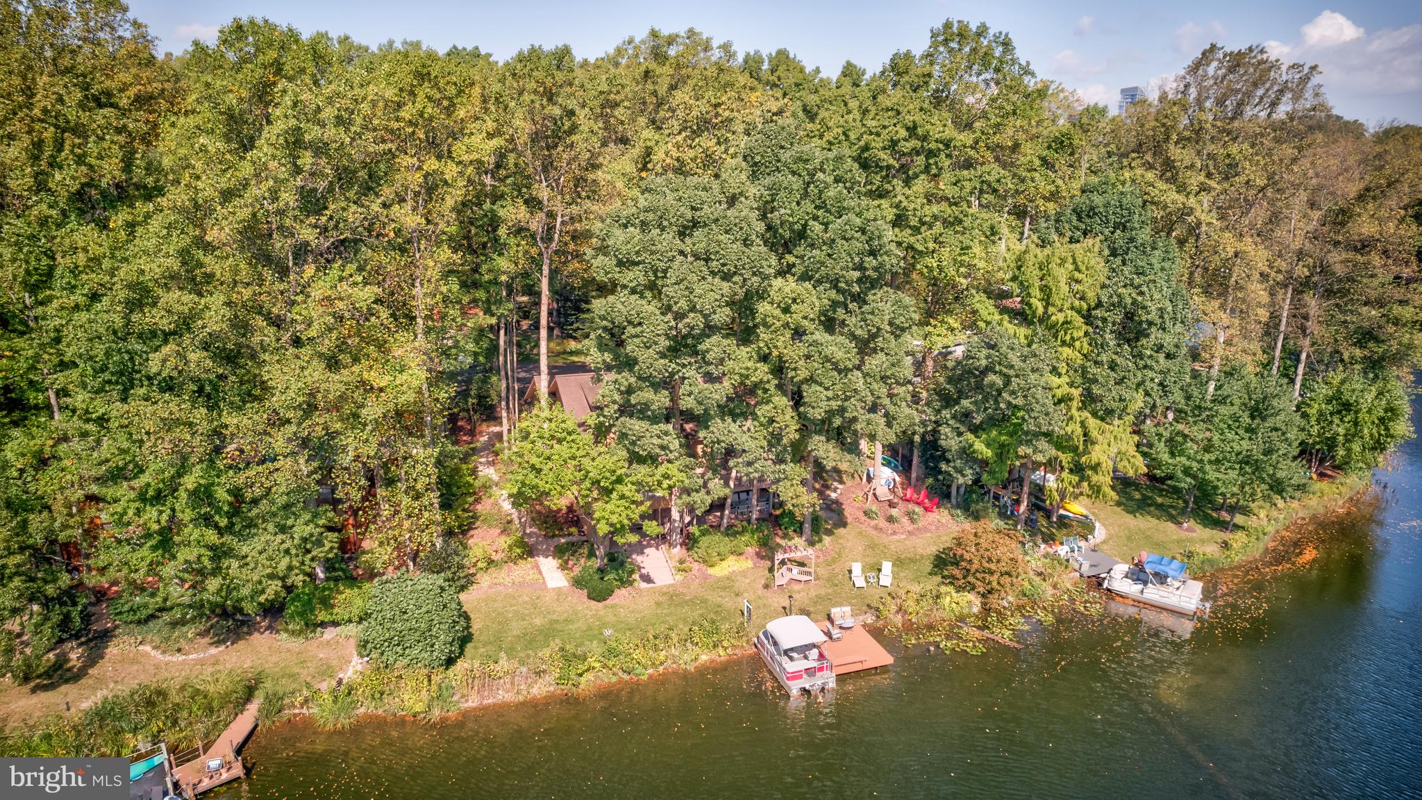 11419 Purple Beech Dr