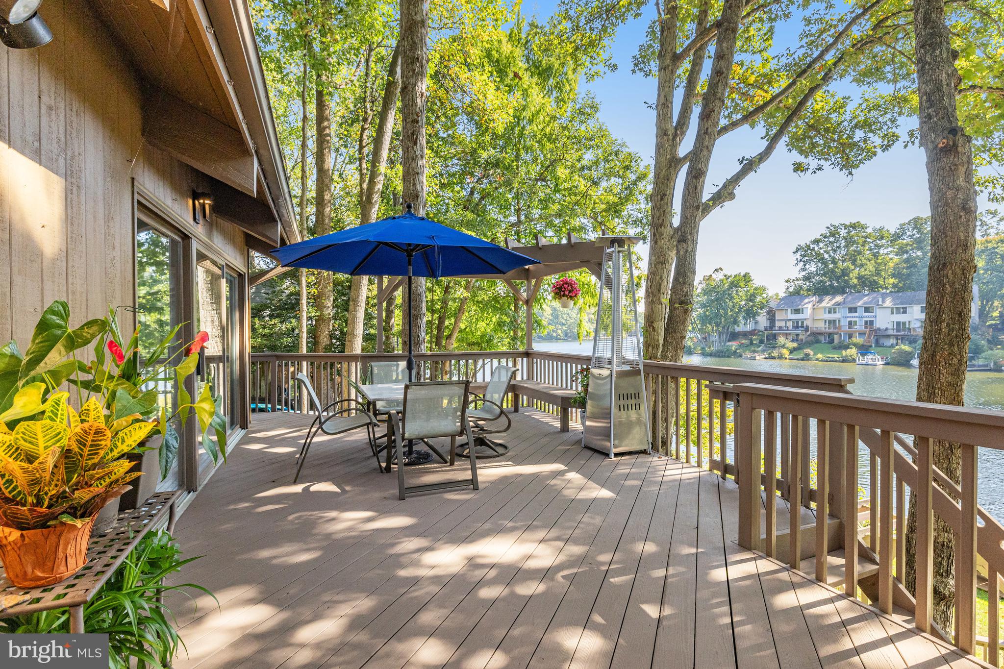 11419 Purple Beech Dr