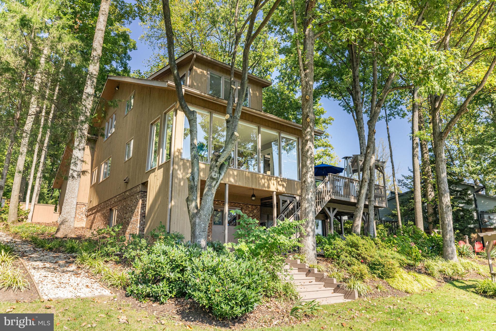 11419 Purple Beech Dr