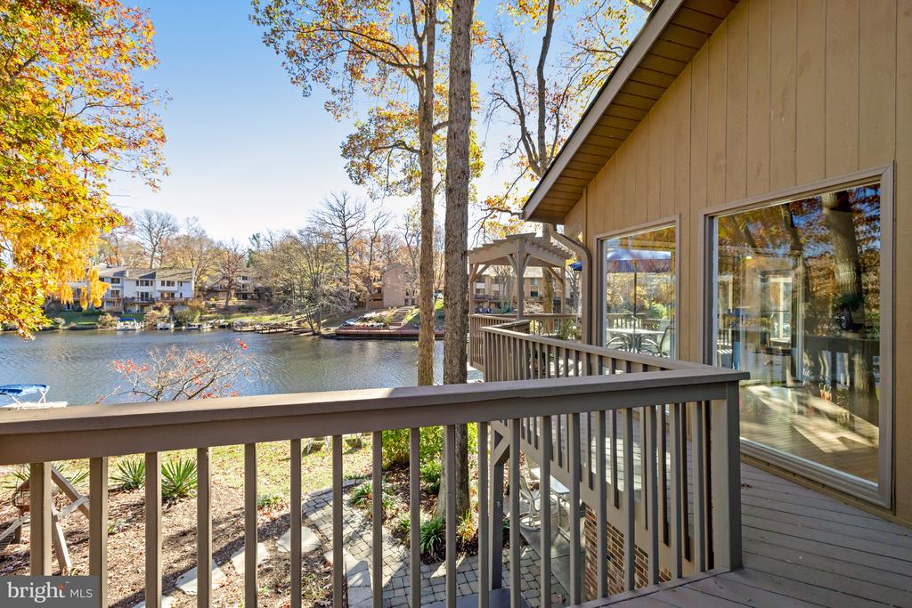 11419 Purple Beech Dr