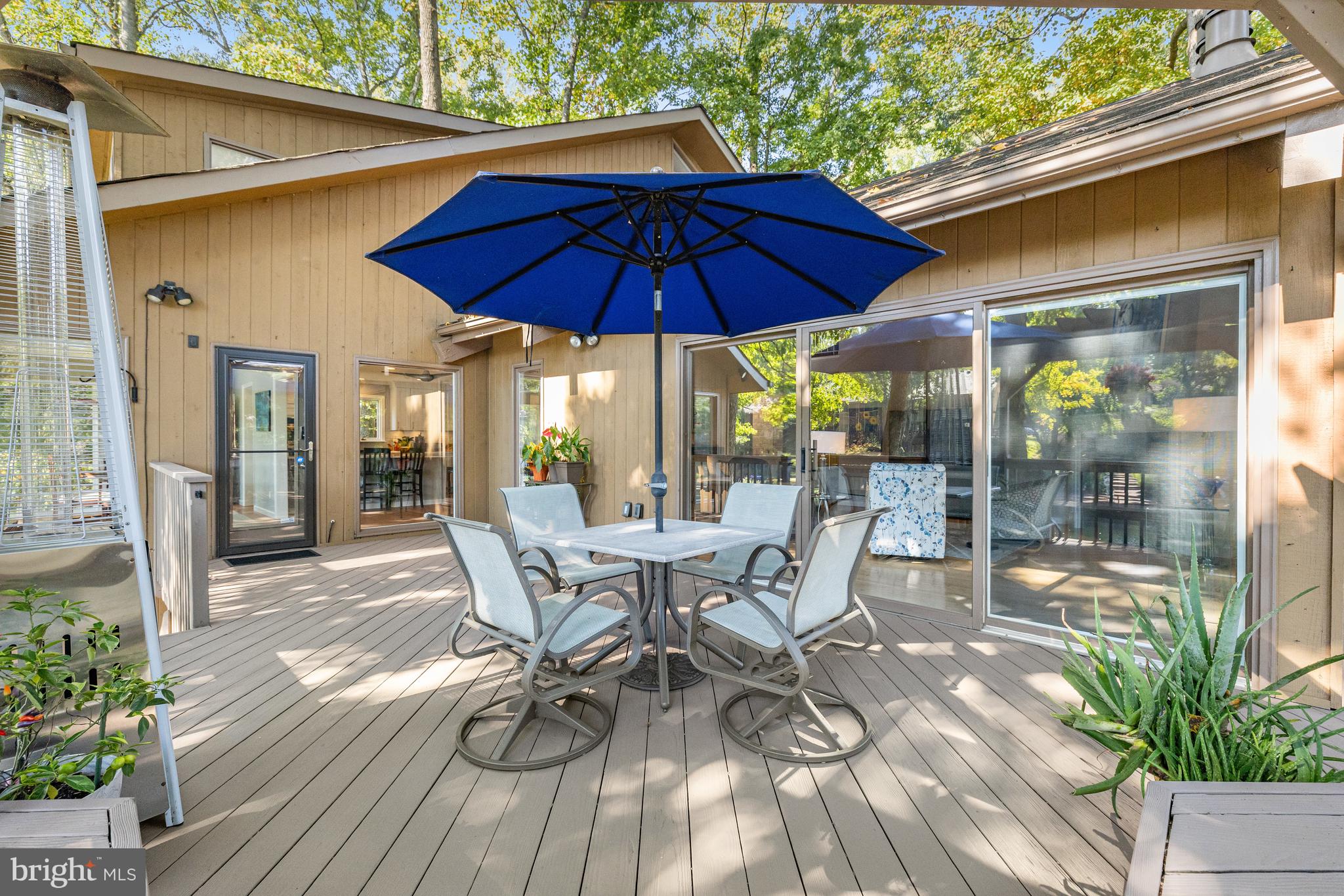 11419 Purple Beech Dr