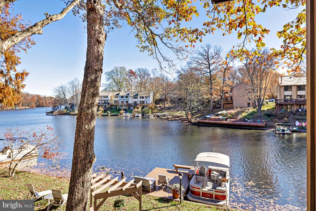 11419 Purple Beech Dr